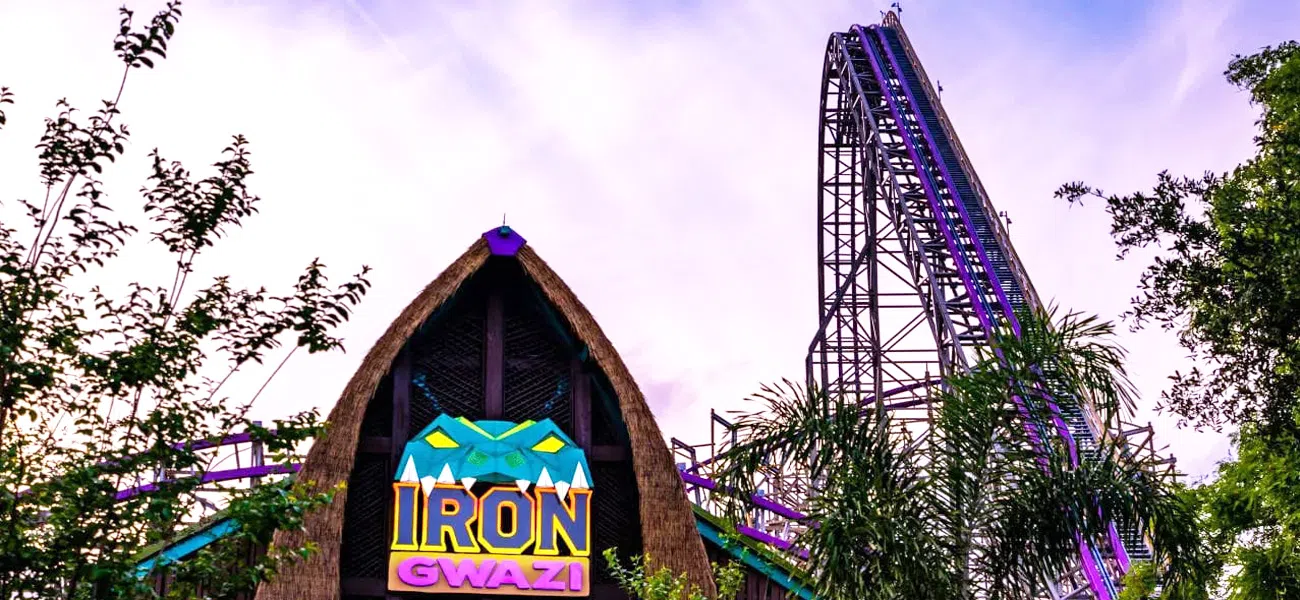 Американские горки "Iron Gwazi"