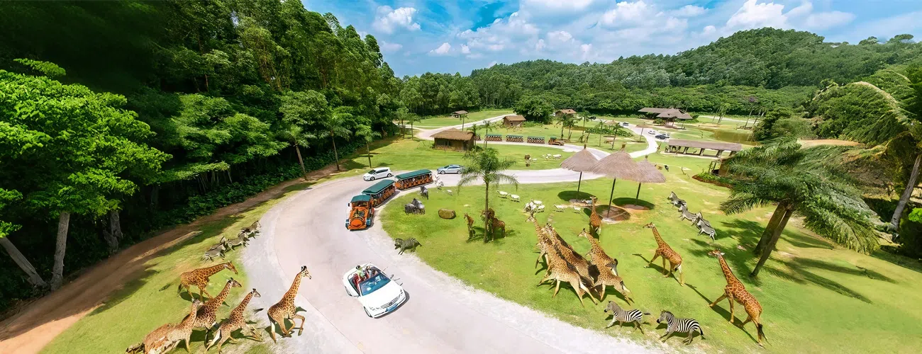 Дикий зоопарк Chimelong