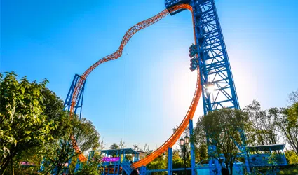 Американские горки «Magic Loop»